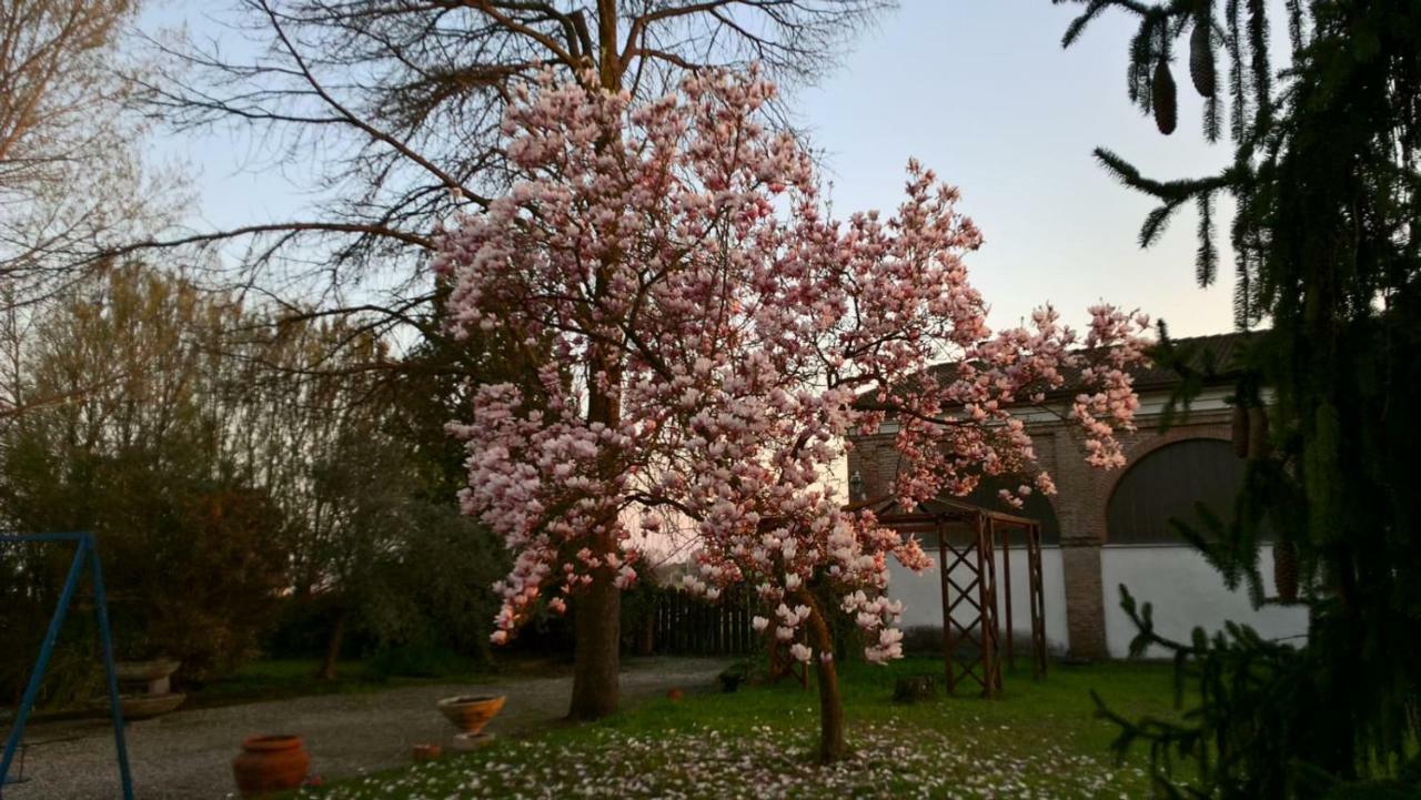 Agriturismo Cipolli E Podo Corte Carlini Mantova Eksteriør billede