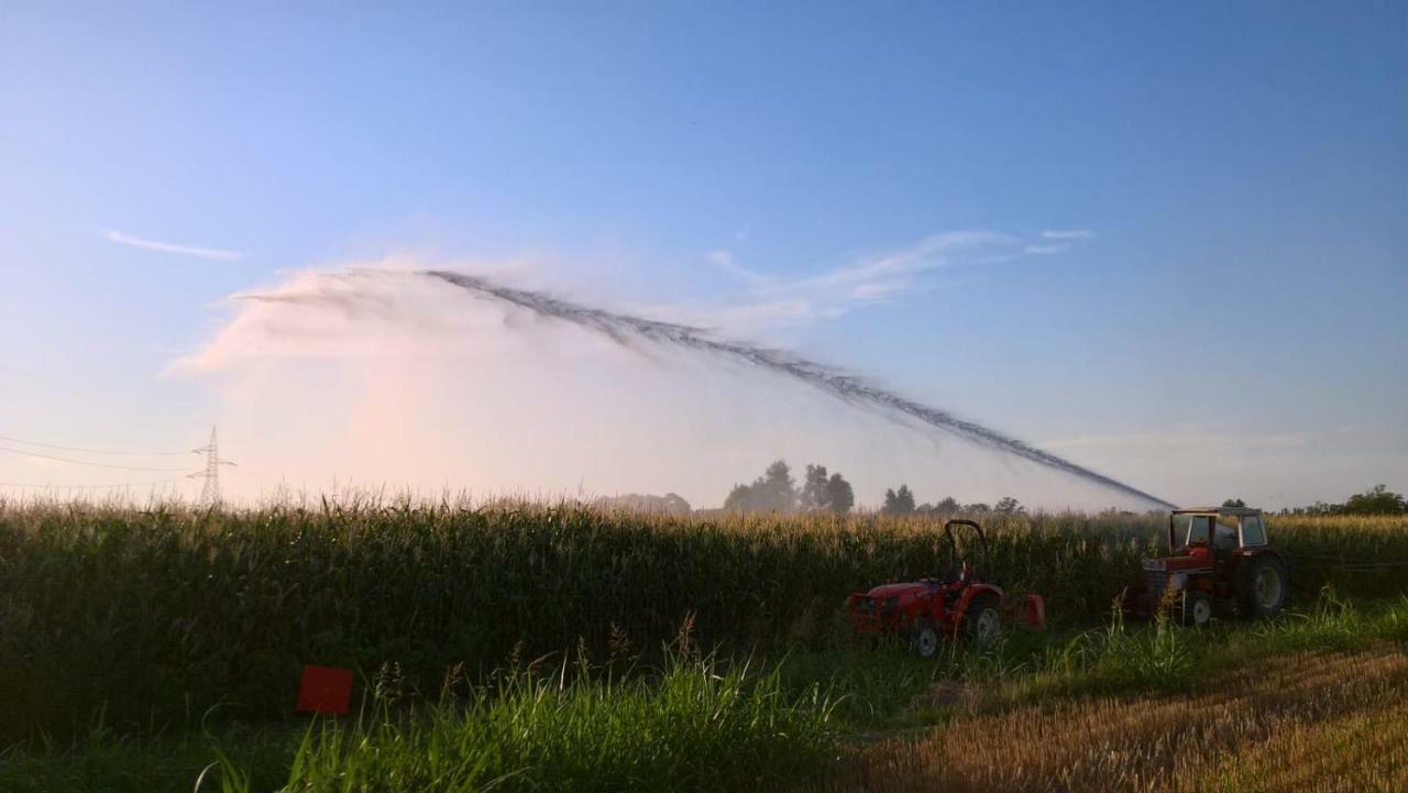 Agriturismo Cipolli E Podo Corte Carlini Mantova Eksteriør billede