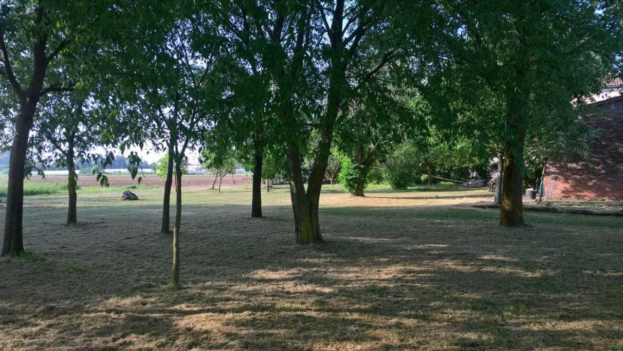 Agriturismo Cipolli E Podo Corte Carlini Mantova Eksteriør billede